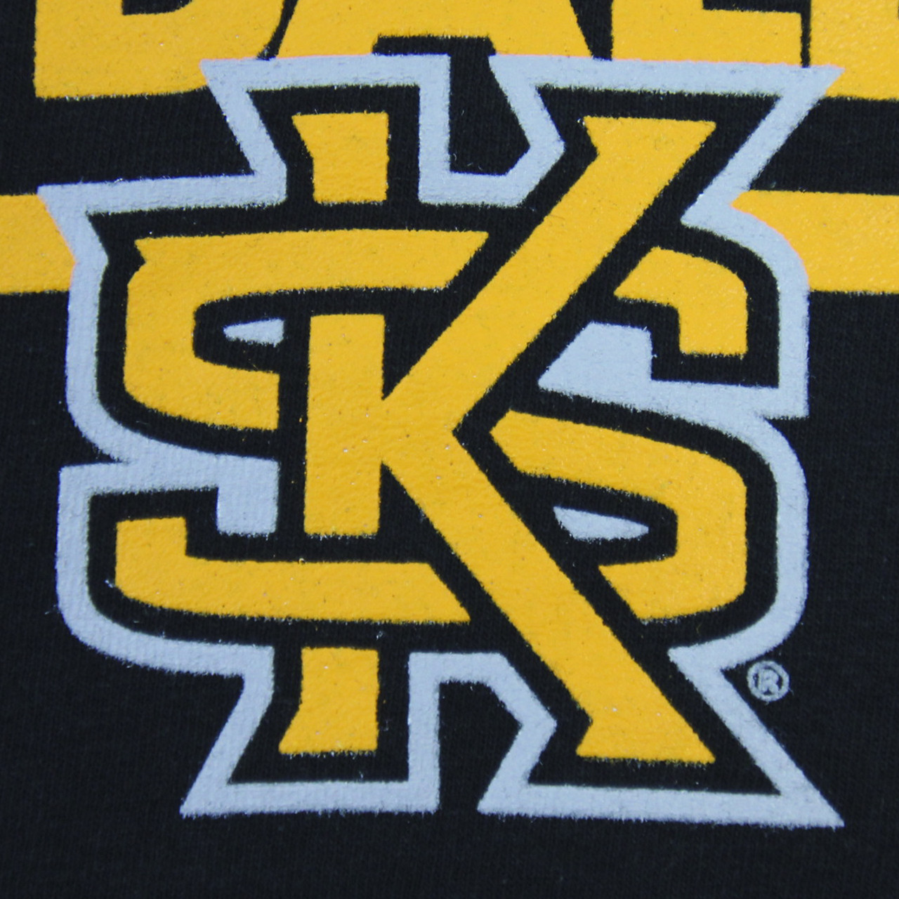 Kennesaw State Owls